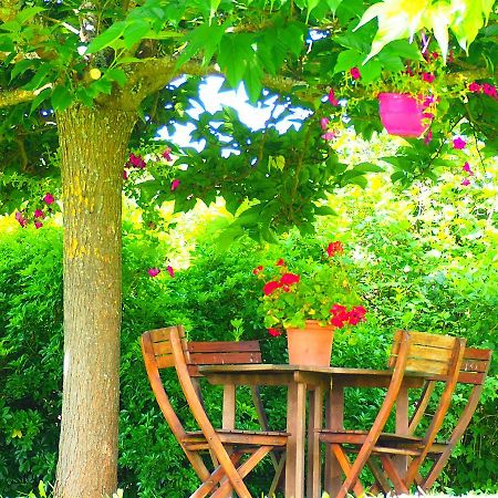 La Belle Verte Grignols  Ngoại thất bức ảnh