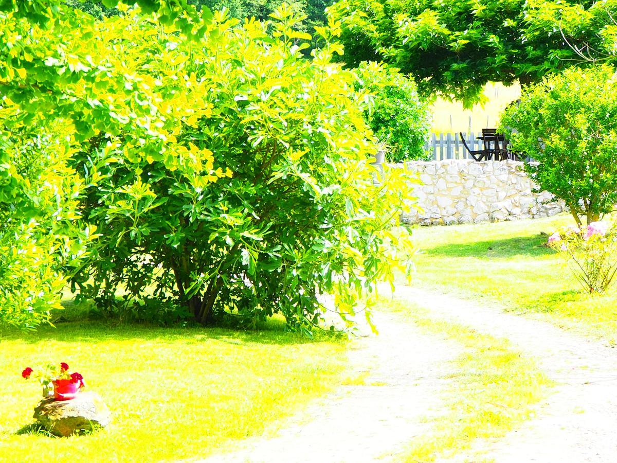 La Belle Verte Grignols  Ngoại thất bức ảnh