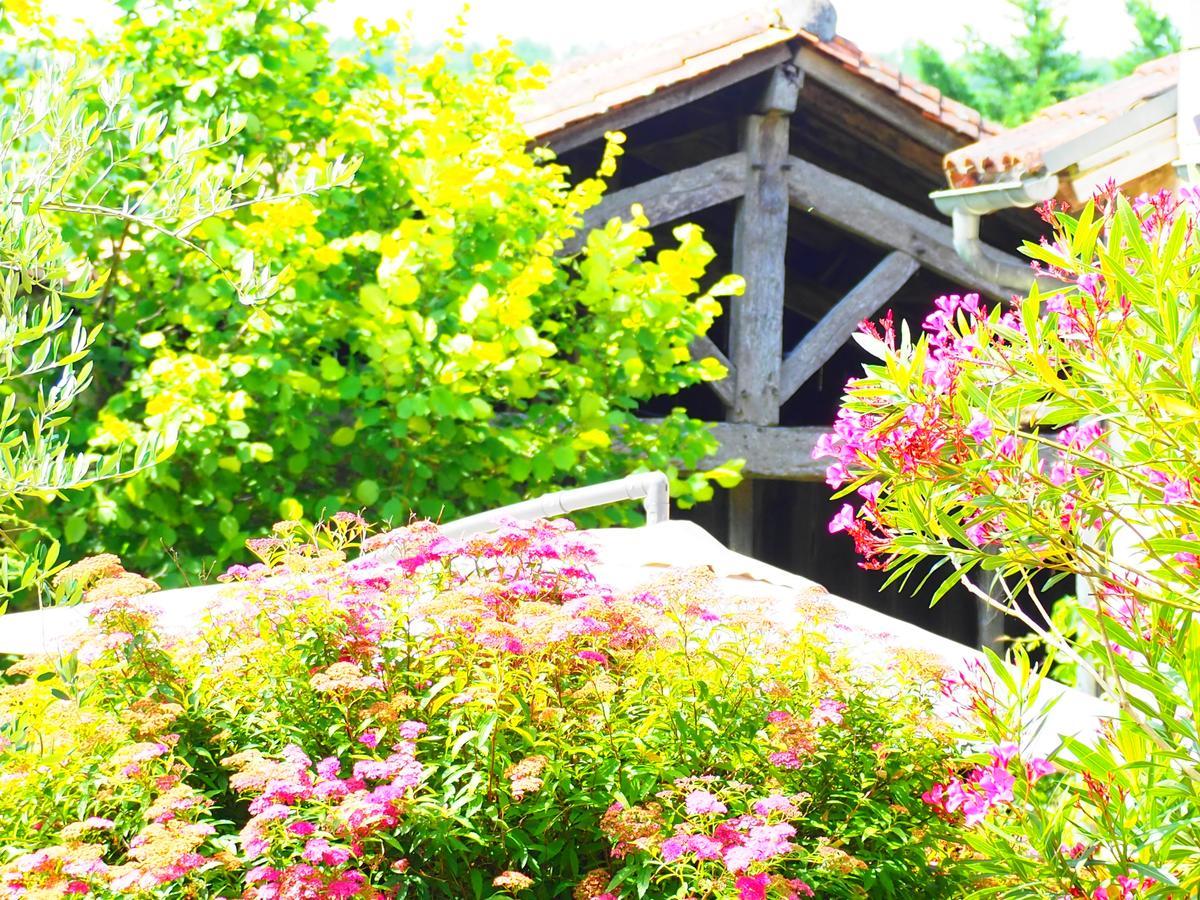 La Belle Verte Grignols  Ngoại thất bức ảnh
